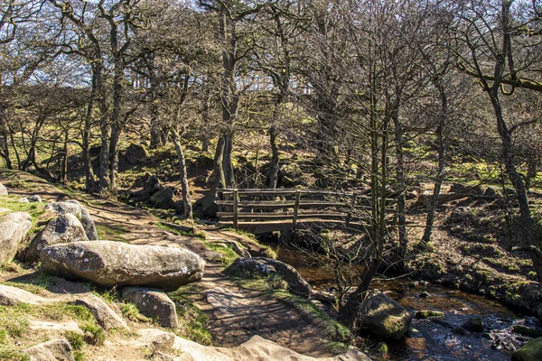Wąwóz Padley Peak District National Park Derbyshire Anglia Zielony Mech — Zdjęcie stockowe
