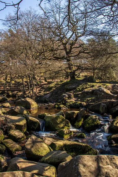 Gorge Padley Peak District National Park Derbyshire England Green Moss — Stock Photo, Image