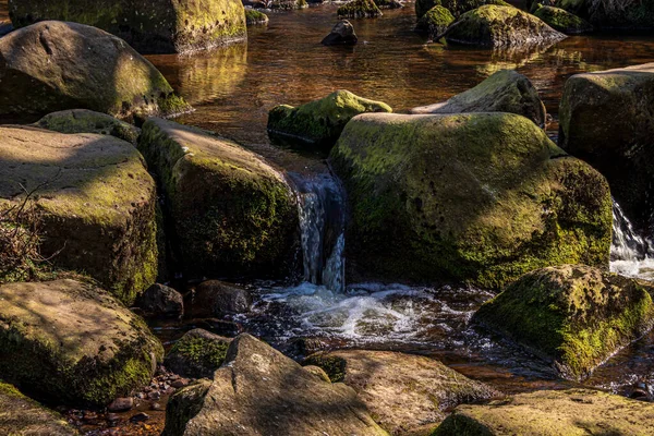 Gorge Padley Peak District National Park Derbyshire Anglie Zelený Mech — Stock fotografie