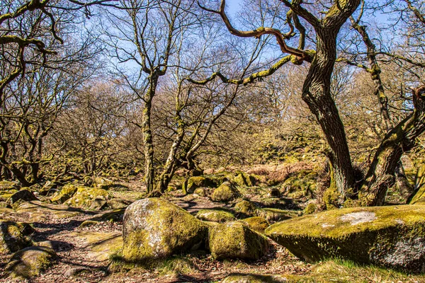 Gorge Padley Peak District National Park Derbyshire England Green Moss — Stock Photo, Image