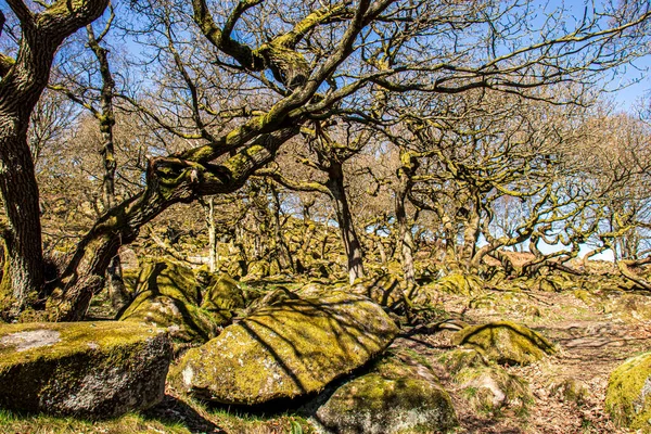 Padley Peak Bölgesi Ulusal Parkı Derbyshire Ngiltere Taşların Üzerinde Yeşil — Stok fotoğraf