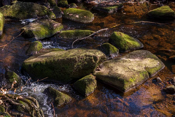 Gorge Nel Padley Peak District National Park Derbyshire Inghilterra Muschio — Foto Stock