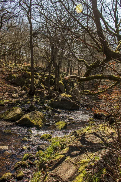 Gorge Padley Peak District National Park Derbyshire Anglie Zelený Mech — Stock fotografie