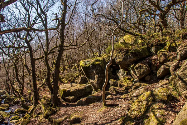 Schlucht Padley Peak District National Park Derbyshire England Grünes Moos — Stockfoto