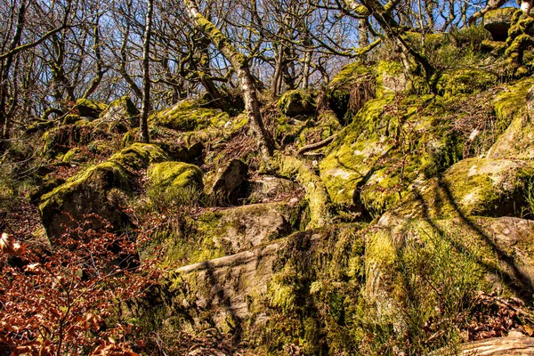 Gorge Nel Padley Peak District National Park Derbyshire Inghilterra Muschio — Foto Stock