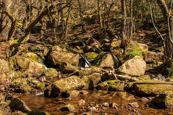 Gorge Padley Peak District National Park Derbyshire Anglie Zelený Mech — Stock fotografie