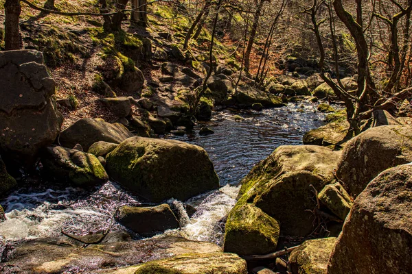 Gorge Nel Padley Peak District National Park Derbyshire Inghilterra Muschio — Foto Stock