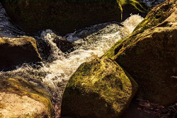 パドリー ピーク地区の渓谷国立公園 ダービーシャー州 イギリス 石の緑の苔 — ストック写真