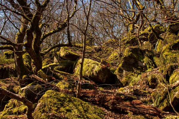 Schlucht Padley Peak District National Park Derbyshire England Grünes Moos — Stockfoto