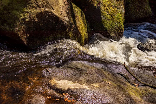 Gorge Padley Peak District National Park Derbyshire Engeland Groen Mos — Stockfoto