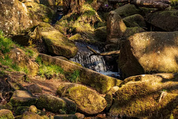 Gorge Padley Peak District National Park Derbyshire Anglie Fotografie Pořízena — Stock fotografie