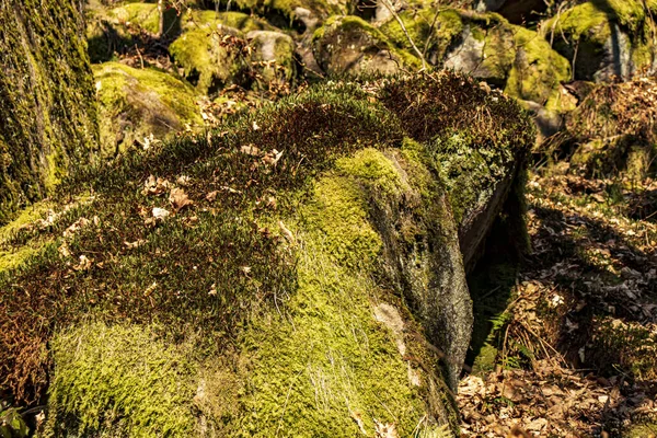 Padley Peak Bölgesi Ulusal Parkı Derbyshire Ngiltere Fotoğraf Güneşli Bir — Stok fotoğraf