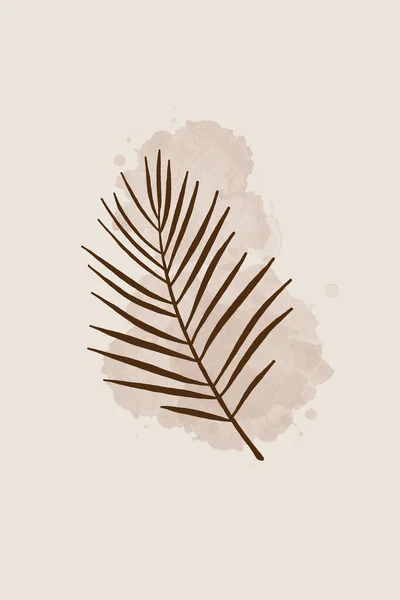 Minimalistische Illustration Für Den Druck Wandplakate Innenarchitektur Botanische Illustration — Stockfoto