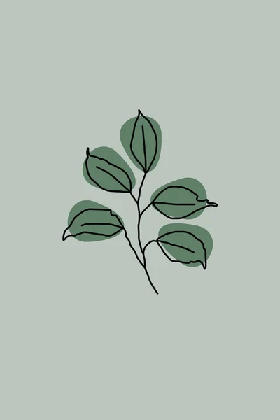 Minimalistic Illustration Printing Wall Posters Interior Design Botanical Illustration — Photo