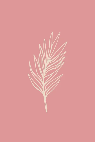 Minimalistic Illustration Printing Wall Posters Interior Design Botanical Illustration — Photo