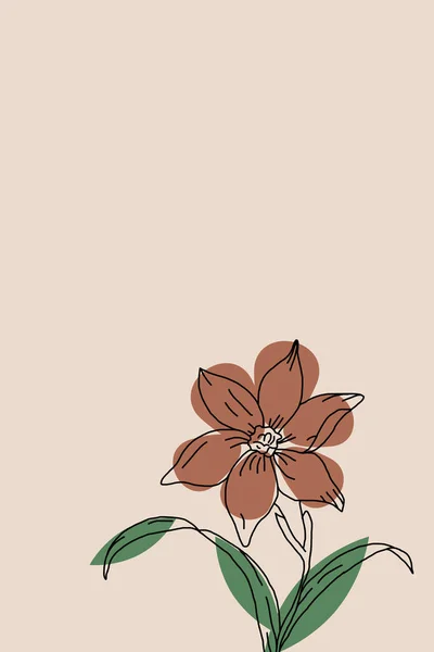 Minimalistic Illustration Printing Wall Posters Interior Design Botanical Illustration — 스톡 사진