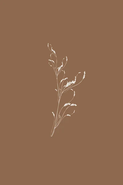 Minimalistic Illustration Printing Wall Posters Interior Design Botanical Illustration — 스톡 사진