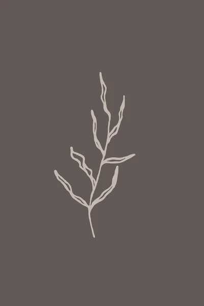 Minimalist Printable Botanical Illustration 가정의 — 스톡 사진