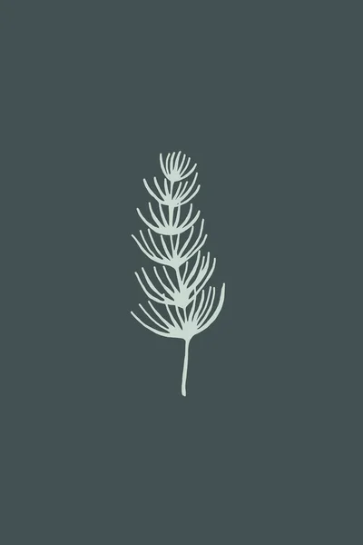 Ilustração Botânica Imprimível Minimalista Plantas Ilustração Decoração Casa — Fotografia de Stock