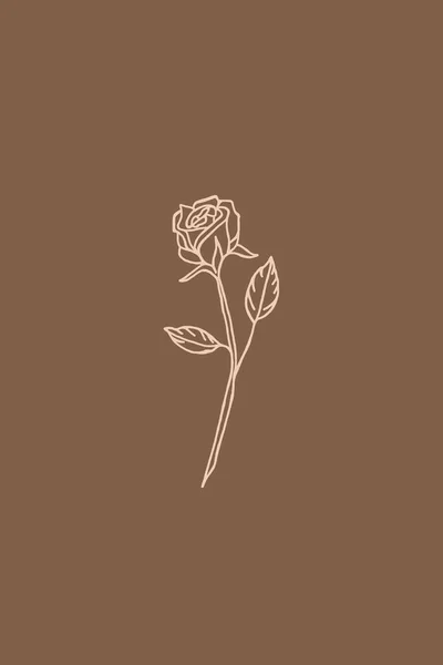 Minimalist Printable Botanical Illustration 가정의 — 스톡 사진