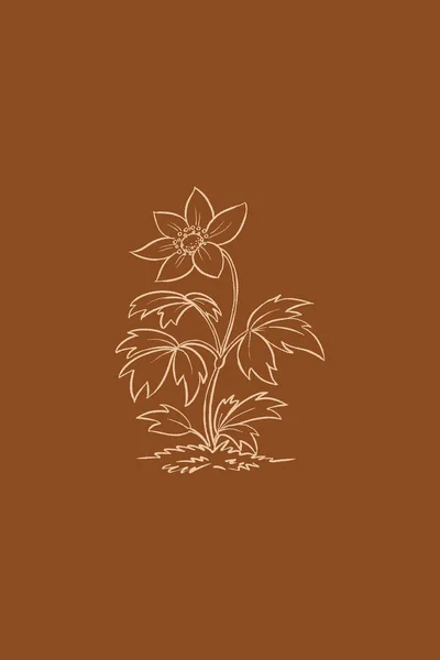 Ilustración Botánica Imprimible Minimalista Ilustración Plantas Decoración Del Hogar —  Fotos de Stock