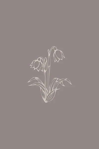 Minimalistische Printable Botanical Illustration Plants Illustration Wohnkultur — Stockfoto