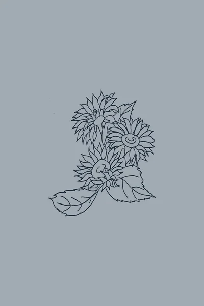 Illustration Botanique Imprimable Minimaliste Illustration Végétale Décor Maison — Photo