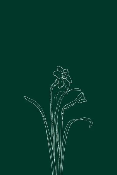 Ilustración Botánica Imprimible Minimalista Ilustración Plantas Decoración Del Hogar —  Fotos de Stock