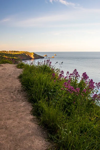 Brixham Berry Head Beautiful Landscape Великій Британії — стокове фото