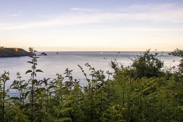 Brixham Devon England Stunning View Beautiful Coast Facing South Clear — Stock Photo, Image