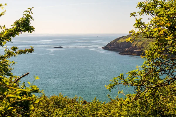 Brixham Devon Anglie Krásná Letní Krajina Slunečného Dne — Stock fotografie