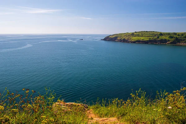 Brixham Devon Inglaterra Hermoso Paisaje Verano Día Soleado — Foto de Stock