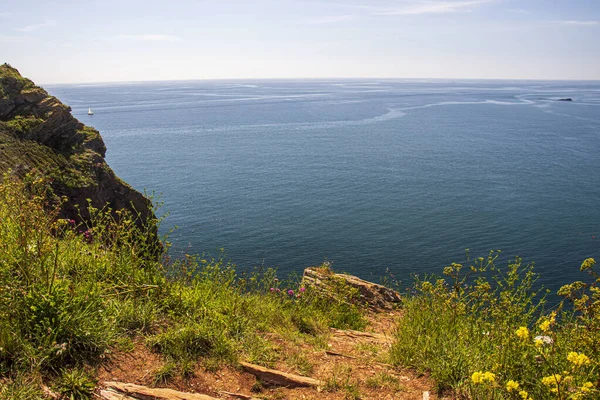 Brixham Devon Inglaterra Hermoso Paisaje Verano Día Soleado — Foto de Stock