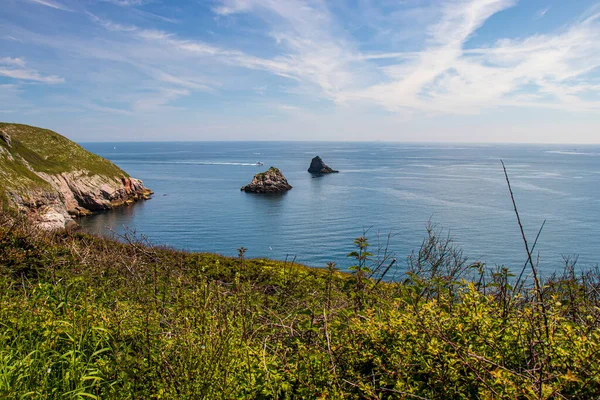 Brixham Devon Inglaterra Hermoso Paisaje Verano Con Vistas Mar — Foto de Stock