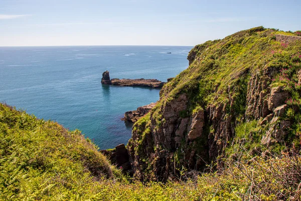 Brixham Devon Anglie Krásná Letní Krajina Výhledem Moře — Stock fotografie