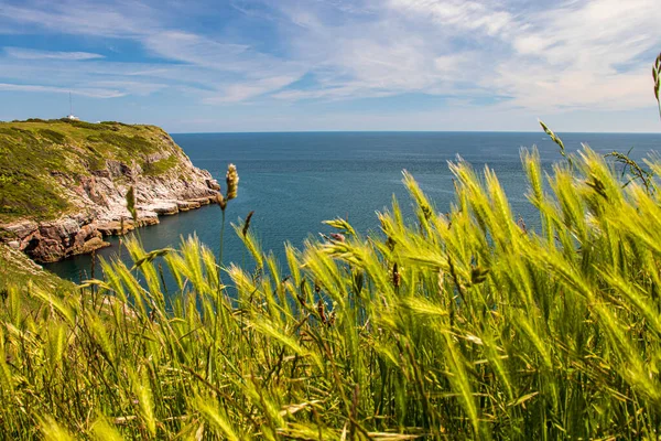 Brixham Devon Αγγλία Γραφικό Παραθαλάσσιο Τοπίο — Φωτογραφία Αρχείου