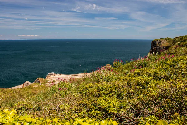 Brixham Devon Inglaterra Paisagem Litorânea Pitoresca — Fotografia de Stock