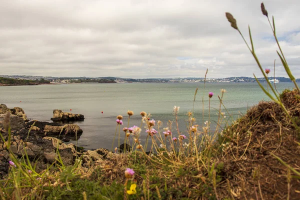 Brixham Devon England Beautiful Seaside Landscape Summer Sunny Day — Foto de Stock