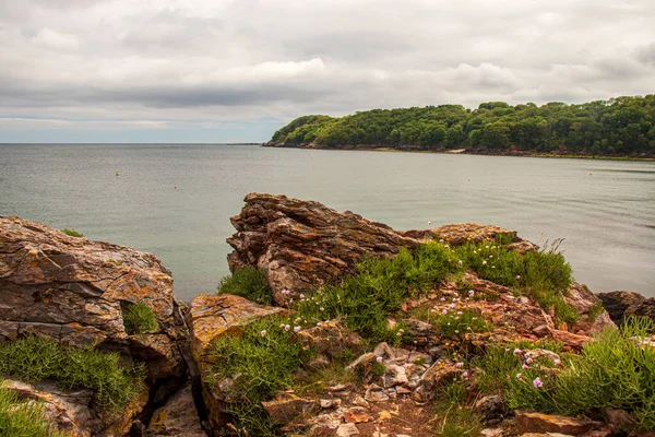 Brixham Devon England Beautiful Seaside Landscape Summer Sunny Day — Φωτογραφία Αρχείου