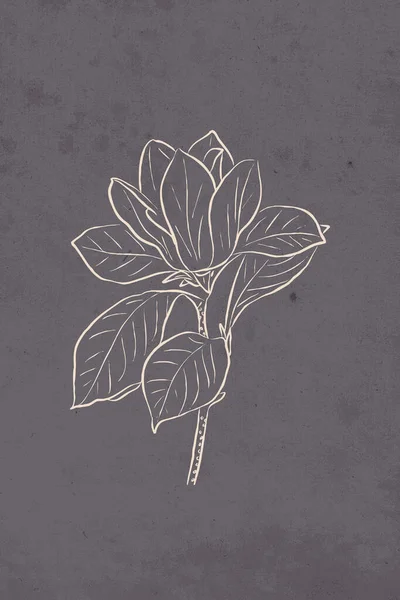 Illustrazione Botanica Stile Minimalista Colori Neutri Poster Stampa Shirt Copertina — Foto Stock
