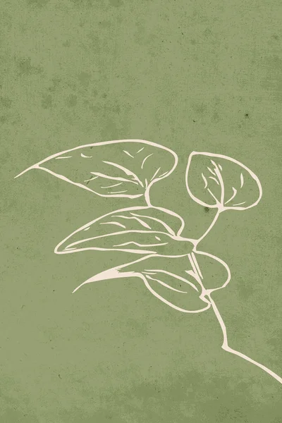 Botanische Posters Hedendaagse Kunst Poster Abstract Patroon Voor Print Cover — Stockfoto