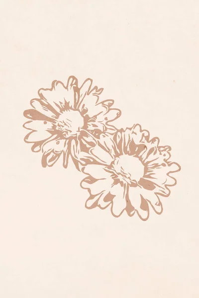 Minimalistische Illustraties Voor Het Drukken Botanische Wall Art Neutrale Aardetinten — Stockfoto
