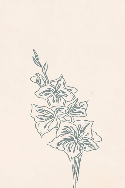 Minimalistické Ilustrace Botanická Zeď Umění Neutrální Hliněné Tóny Elegantní Barvy — Stock fotografie