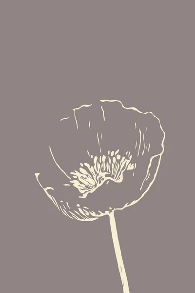 Illustrations Minimalistes Graphiques Muraux Fleurs Printanières Dans Illustration Conception Pour — Photo