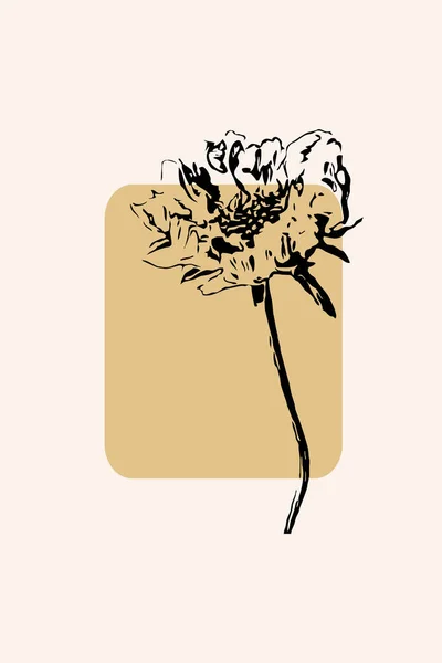 ポスター Tシャツプリント カバー バナーのためのミニマルなスタイルと中性色の植物イラスト 単純な幾何学線を用いた現代美術の背景 — ストック写真