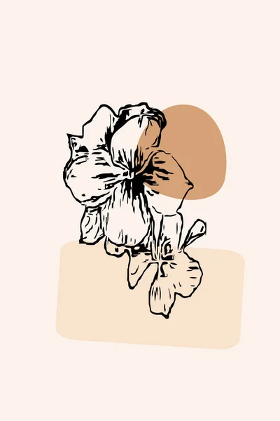 Плакат Современного Искусства Ботаническое Настенное Искусство Дизайн Печати Обложки Обоев — стоковое фото