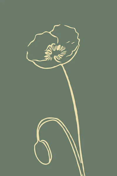 Ilustrações Botânicas Estilo Minimalista Cores Neutras Para Cartaz Impressão Camiseta — Fotografia de Stock
