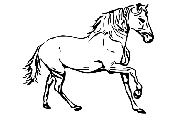 Graphics Black Horse White Background Use Icons Other Graphics Illustrations — Stock Photo, Image