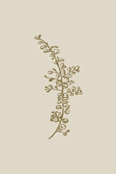 Ilustração Botânica Minimalista Para Impressão Decoração Parede Papel Parede Decoração — Fotografia de Stock