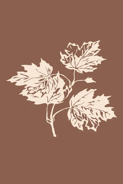 Minimalistische Botanische Illustratie Voor Print Muurdecoratie Behang Home Decor Bloemen — Stockfoto